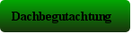 Dachbegutachtung