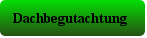 Dachbegutachtung