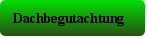 Dachbegutachtung